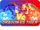 Dragon VS Tiger: A Thrilling W